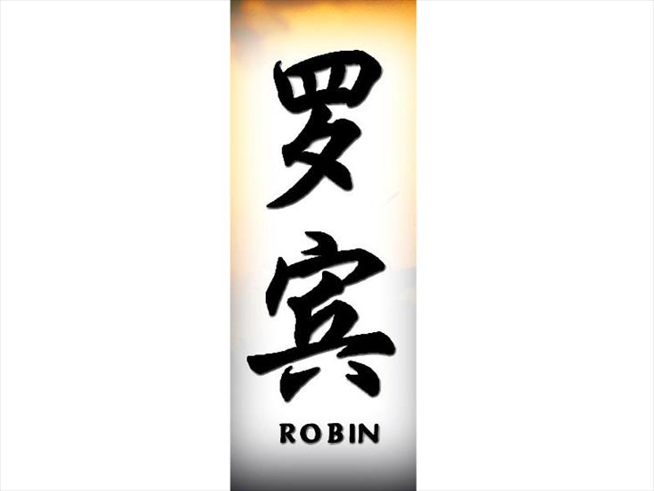 R_800x600 - robin800.jpg