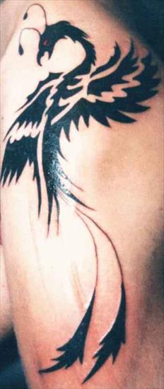 tatuaże 2 - D0048.JPG