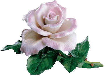 Białe róże - ruze23.gif