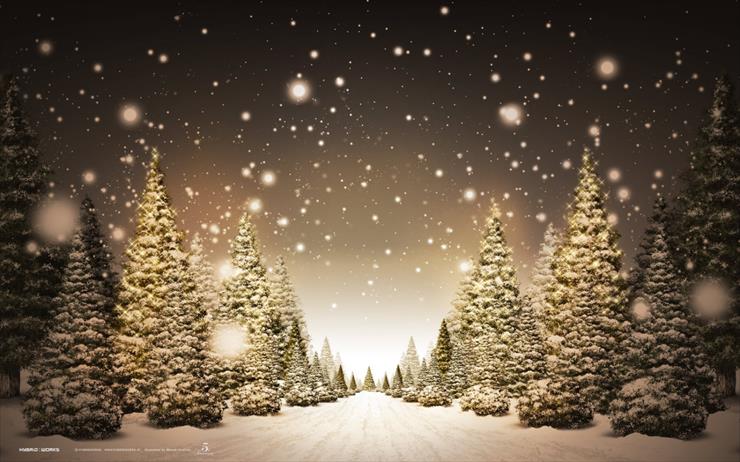 Tapetki świąteczne - snow-path-wallpapers_11864_1280x800.jpg