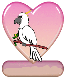 Serduszka - serce papuga ruch.gif
