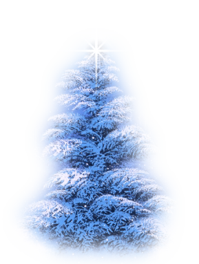Choinki,stroiki,świece - the christmas tree-sandi.png