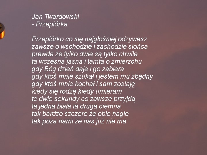 Ks.Jan Twardowski-krzyż - ks. Jan Twardowski - Przepiórka.jpg