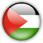 Flagi państw - palestine.png