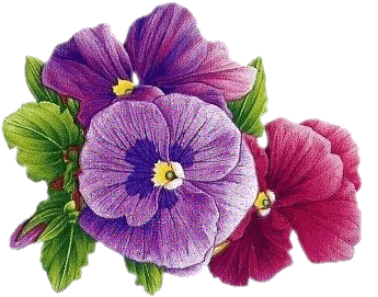 WIOSNA kwiaty - 1097014rfigg0hurt.gif