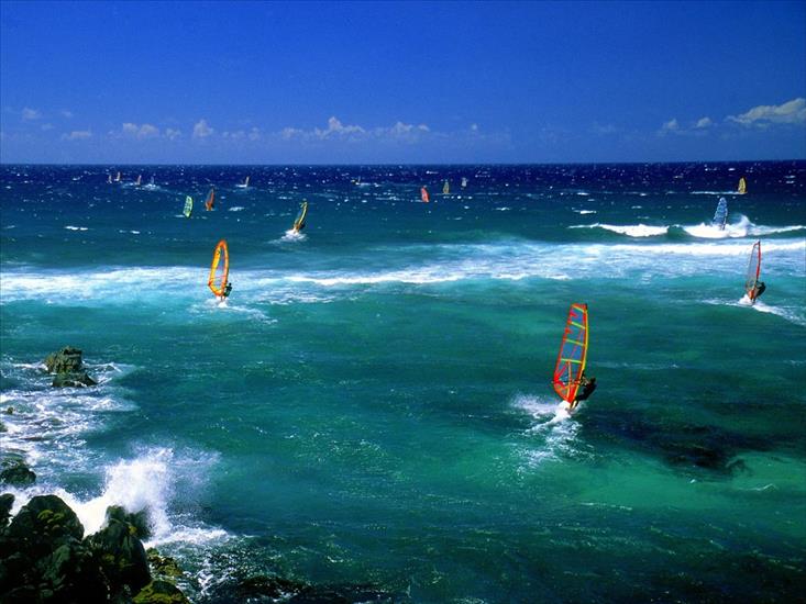 Stany Zjednoczone - Windsurfers, Maui1600x1200.jpg