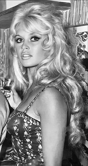 Brigitte Bardot - 382604221_311604914848352_3528200704589304224_n.jpg