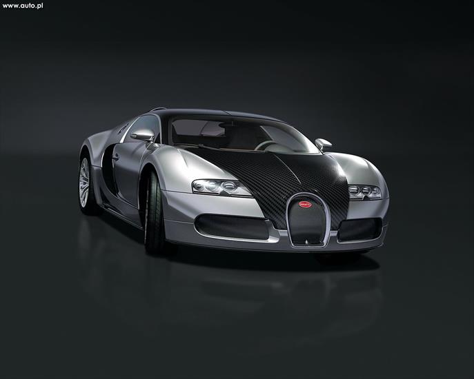 pojazdy - 139_Bugatti-Veyron_Pur_Sang_2007_01.jpg